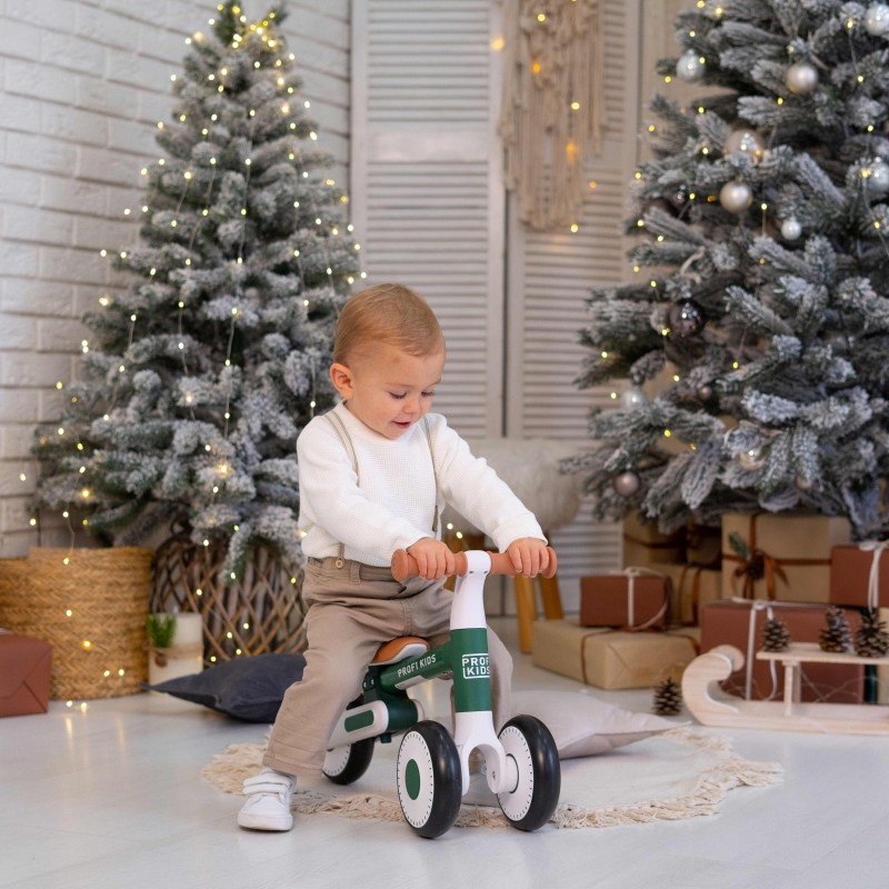 Детский трехколесный беговел-велобег 1-3 года PROFI KIDS MBB 1013-3 зеленый