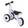 Дитячий триколісний велобіг PROFI KIDS 6 д. MBB 1013-4D