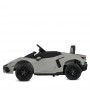 Детский спортивный электромобиль Lamborghini Revuelto STRONG, двухместный, M 6151AL-11(24V) серый