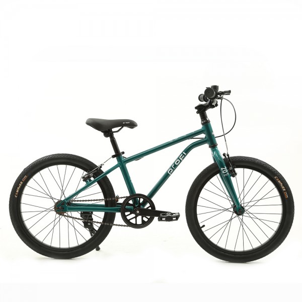Велосипед детский 20д. PROF1 MB 20LIGHTY RAIN FOREST