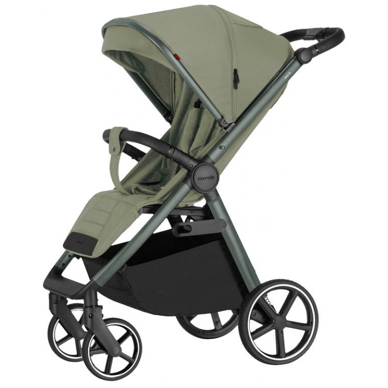 Прогулянкова коляска CARRELLO Bravo SL Deluxe CRL-5520 Mosaic Green /1/