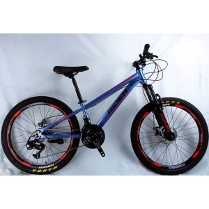 Велосипед Спортивний Corso 24" дюйми «RIDER» RD-24120