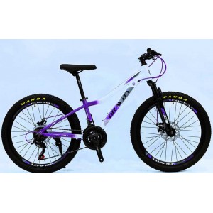Велосипед Спортивний Corso «GRAVITY» 24" дюйми GR-24634